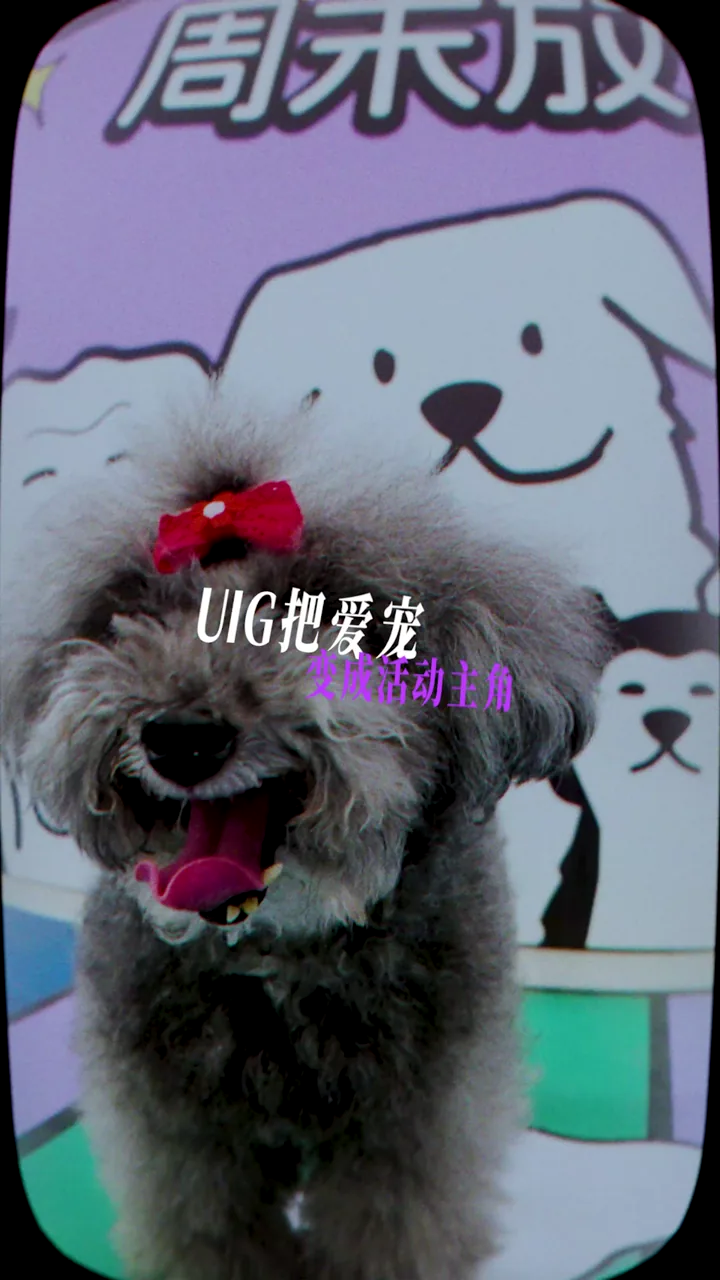 UIG毛球运动会视频封面